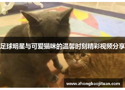 足球明星与可爱猫咪的温馨时刻精彩视频分享